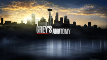 Grey's Anatomy 2
